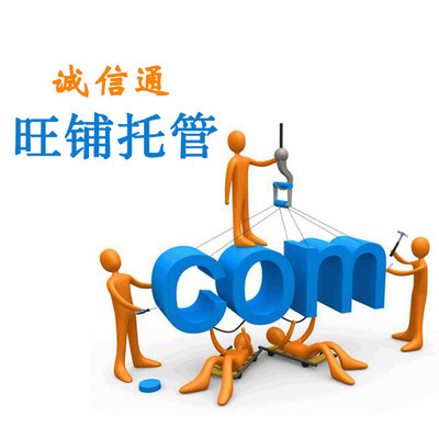 诚信通全年服务加网销宝排名推广套餐(小)送338元 企业网络营销的性价比之选